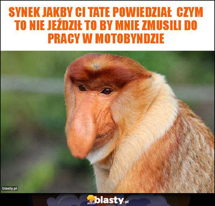 Synek jakby ci tate powiedział czym to nie jeździł to by mnie zmusili do pracy w motobyndzie Synek jakby ci tate powiedział czym to nie jeździł to by mnie zmusili do pracy w motobyndzie
