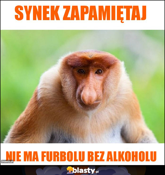 Synek zapamiętaj Synek zapamiętaj