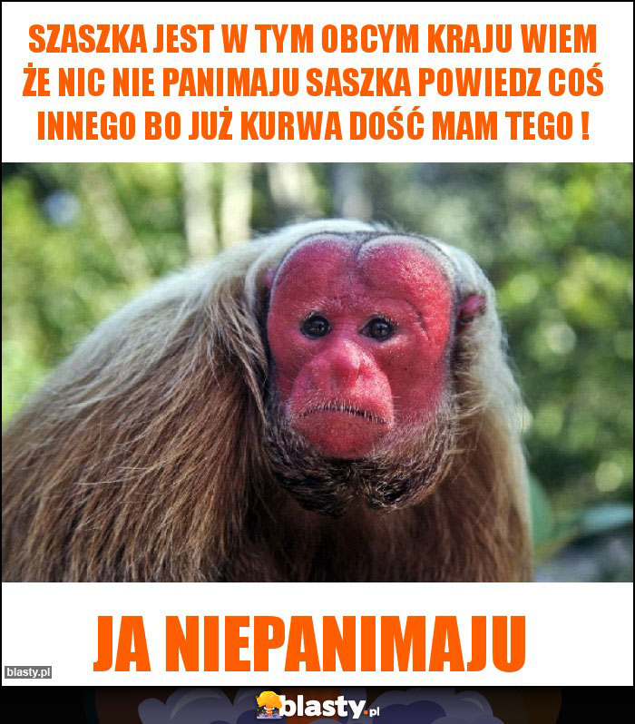 Szaszka jest w tym obcym kraju wiem że nic nie panimaju saszka powiedz coś innego bo już kurwa dość mam tego ! Szaszka jest w tym obcym kraju wiem że nic nie panimaju saszka powiedz coś innego bo już kurwa dość mam tego !