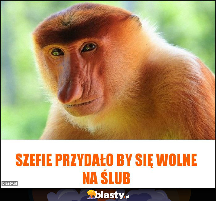 Szefie przydało by się wolne na ślub Szefie przydało by się wolne na ślub