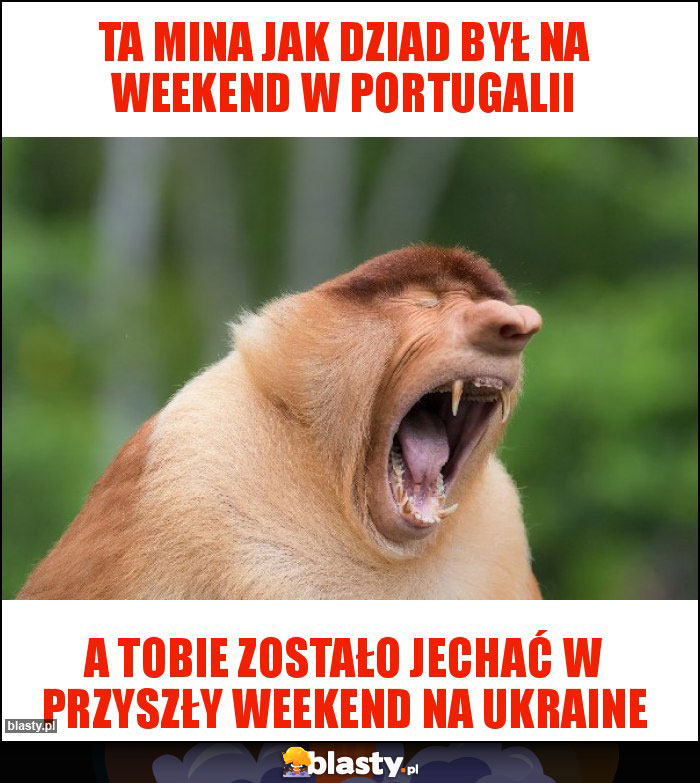 TA MINA JAK DZIAD BYŁ NA WEEKEND W PORTUGALII TA MINA JAK DZIAD BYŁ NA WEEKEND W PORTUGALII