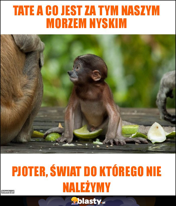 TATE A CO JEST ZA TYM NASZYM MORZEM NYSKIM TATE A CO JEST ZA TYM NASZYM MORZEM NYSKIM