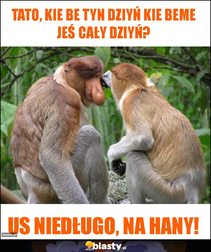 Tato, kie be tyn dziyń kie beme jeś cały dziyń? Tato, kie be tyn dziyń kie beme jeś cały dziyń?