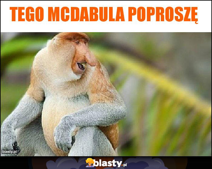 Tego mcdabula poproszę Tego mcdabula poproszę