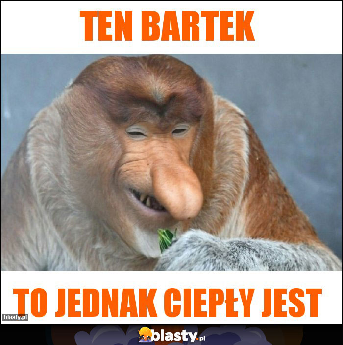 Ten Bartek Ten Bartek