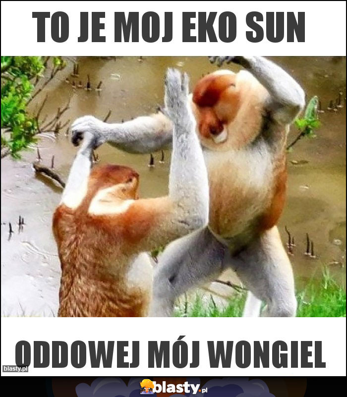 To je moj Eko Sun To je moj Eko Sun