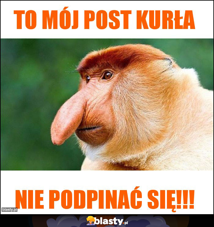 TO MÓJ POST KURŁA TO MÓJ POST KURŁA
