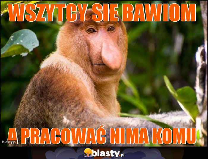 Wszytcy sie bawiom Wszytcy sie bawiom