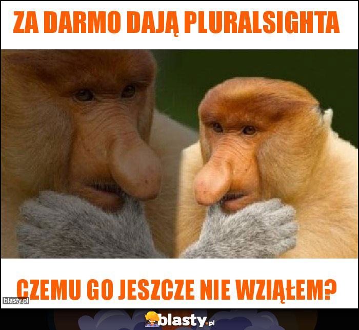 Za darmo dają pluralsighta