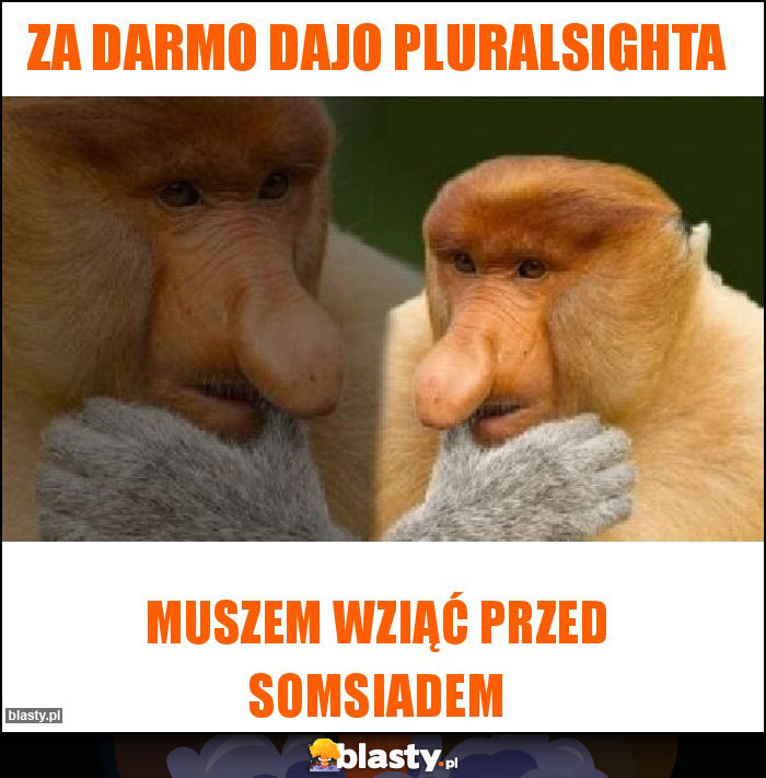 Za darmo dajo pluralsighta