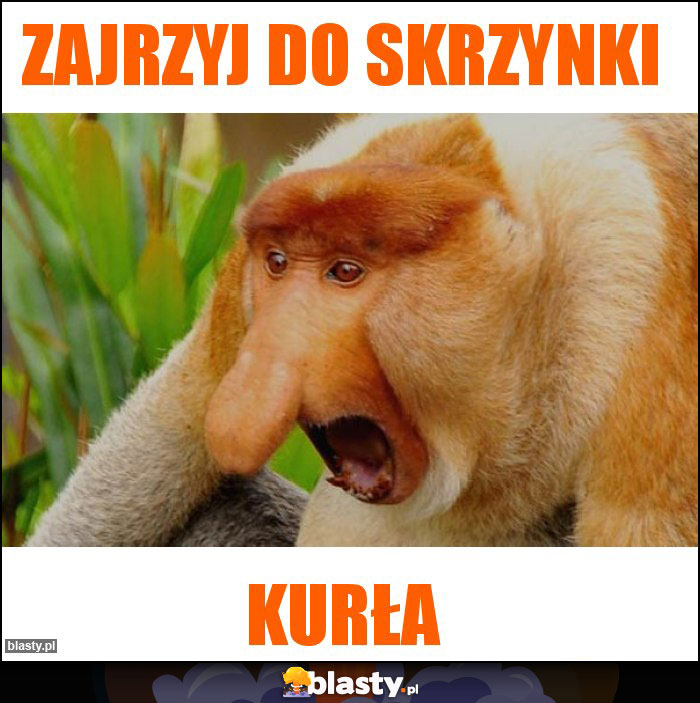 Zajrzyj do skrzynki Zajrzyj do skrzynki