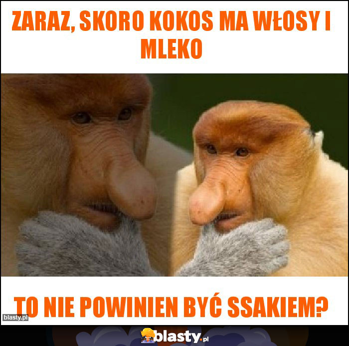 ZARAZ, SKORO KOKOS MA WŁOSY I MLEKO ZARAZ, SKORO KOKOS MA WŁOSY I MLEKO