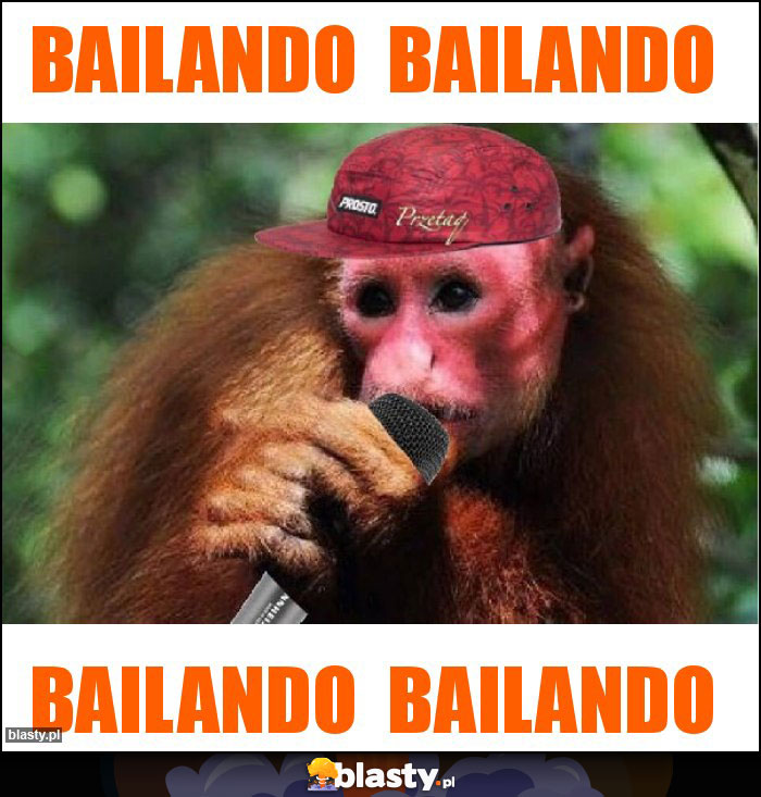 Bailando bailando Bailando bailando
