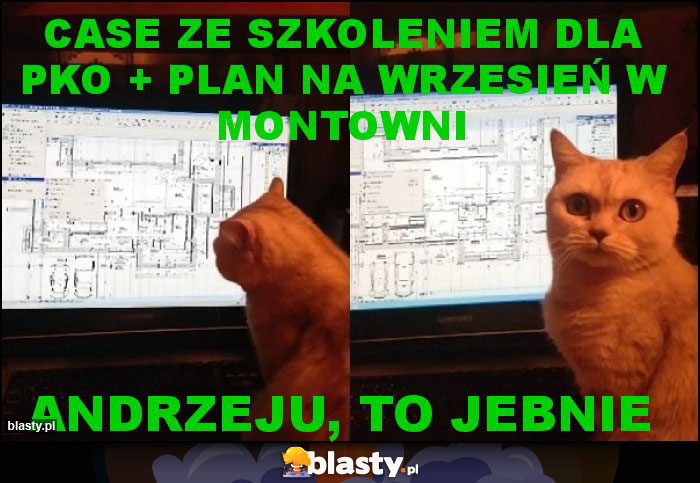 Case ze szkoleniem dla PKO + plan na wrzesień w montowni Case ze szkoleniem dla PKO + plan na wrzesień w montowni