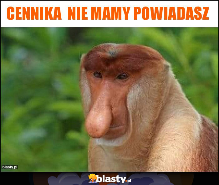 Cennika nie mamy powiadasz Cennika nie mamy powiadasz
