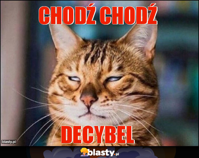 Chodź chodź Chodź chodź
