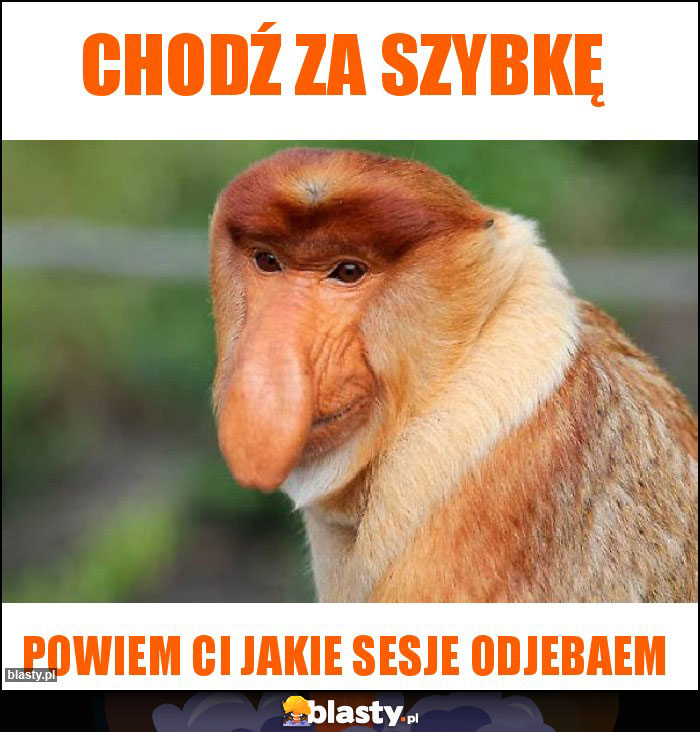 Chodź za szybkę Chodź za szybkę