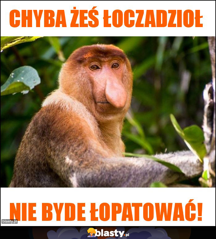 Chyba żeś łoczadzioł Chyba żeś łoczadzioł