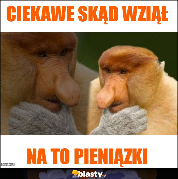 Ciekawe skąd wziął Ciekawe skąd wziął
