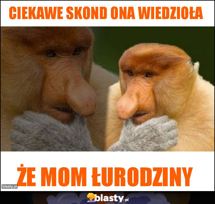Ciekawe skond ona wiedzioła Ciekawe skond ona wiedzioła