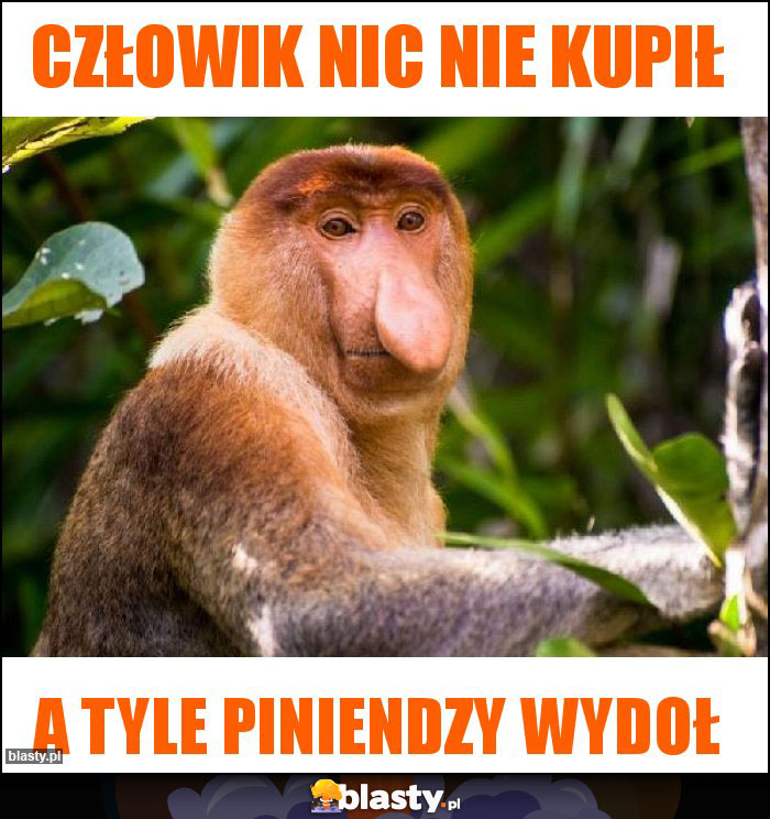 Człowik nic nie kupił Człowik nic nie kupił