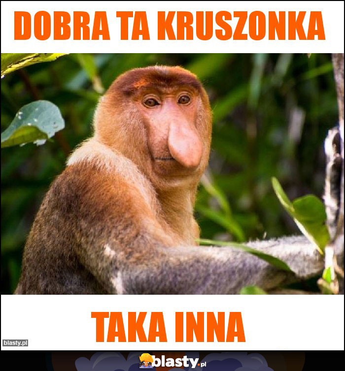 dobra ta kruszonka dobra ta kruszonka