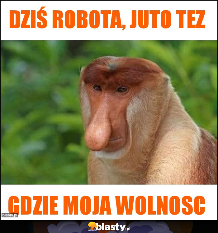 Dziś robota, juto tez Dziś robota, juto tez