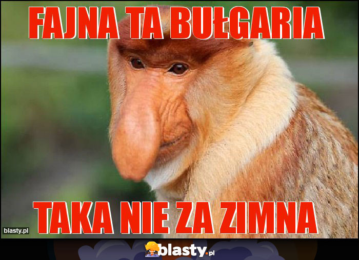 Fajna ta bułgaria Fajna ta bułgaria