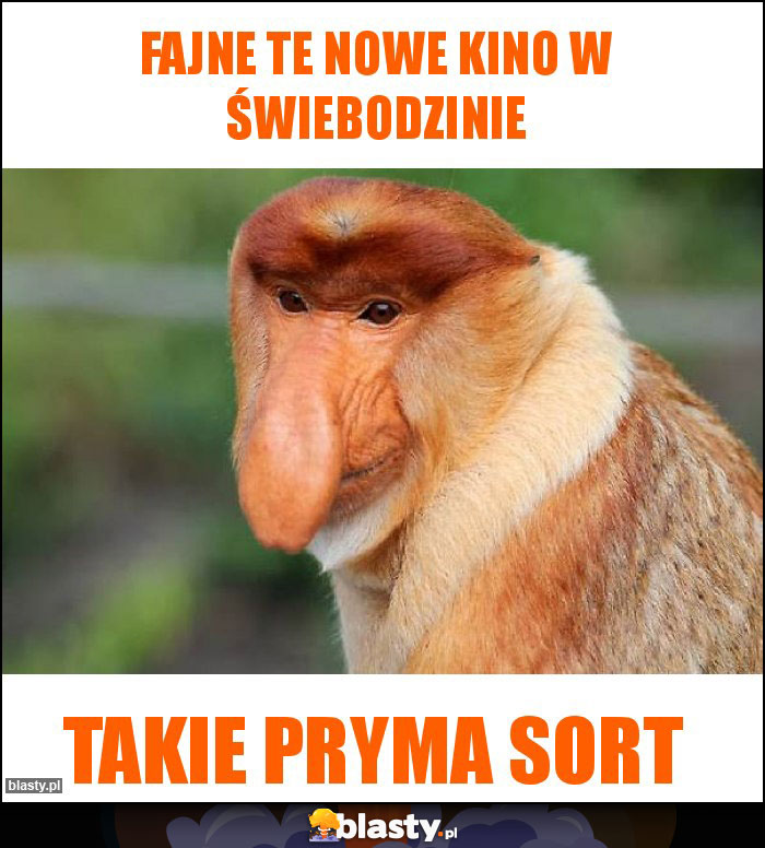 Fajne te nowe kino w Świebodzinie Fajne te nowe kino w Świebodzinie