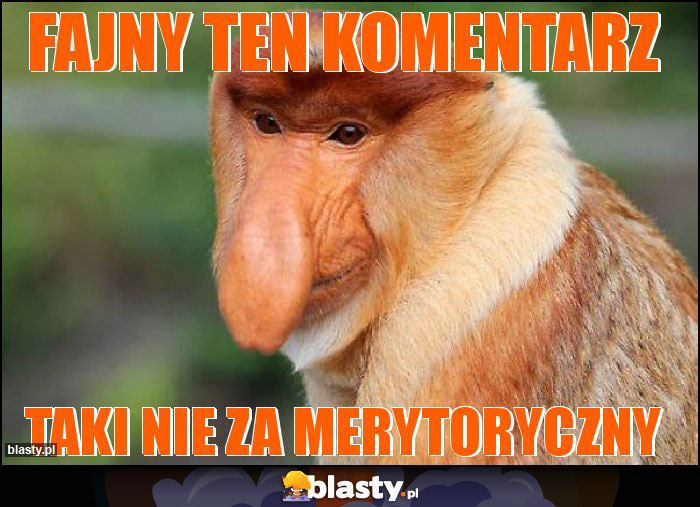 Fajny ten komentarz