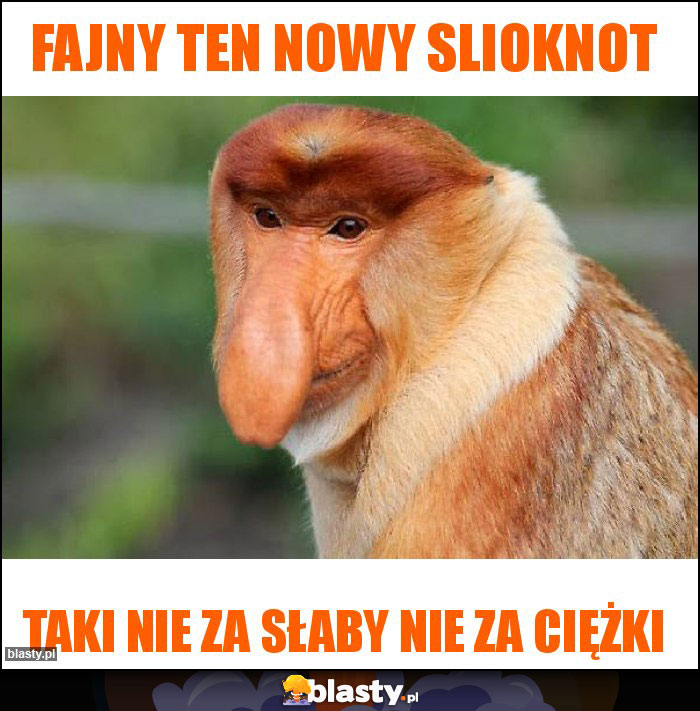 Fajny ten nowy slioknot Fajny ten nowy slioknot