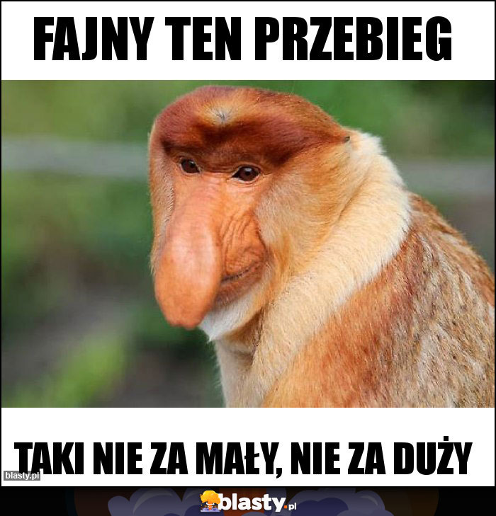 Fajny ten przebieg Fajny ten przebieg