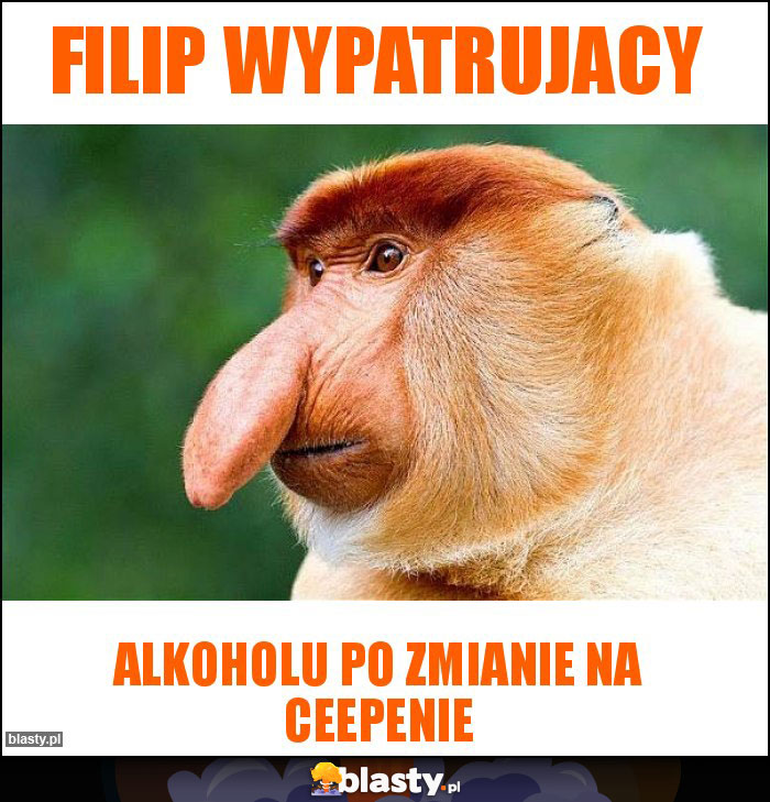 Filip Wypatrujacy Filip Wypatrujacy