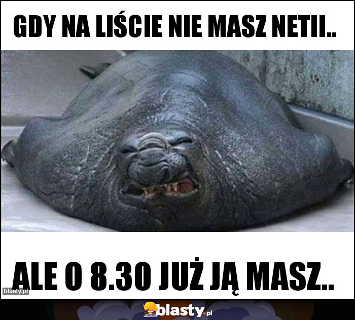 Gdy na liście nie masz Netii..
