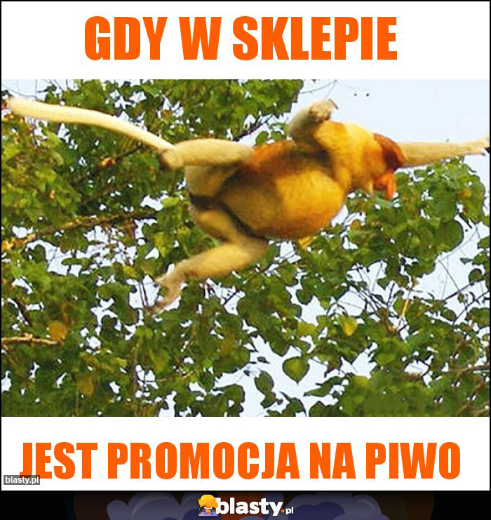 GDY W SKLEPIE GDY W SKLEPIE