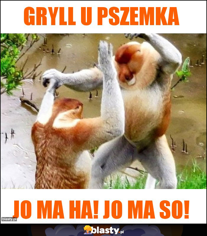 Gryll u Pszemka Gryll u Pszemka