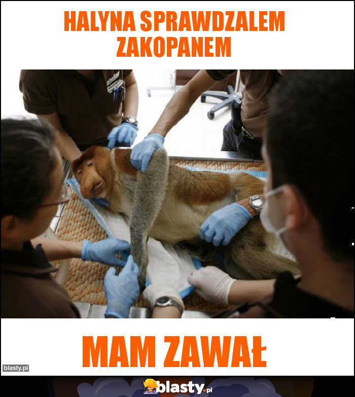 HALYNA SPRAWDZALEM ZAKOPANEM HALYNA SPRAWDZALEM ZAKOPANEM