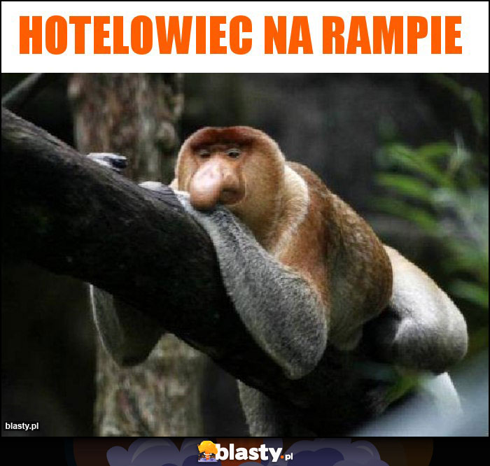 Hotelowiec na rampie Hotelowiec na rampie