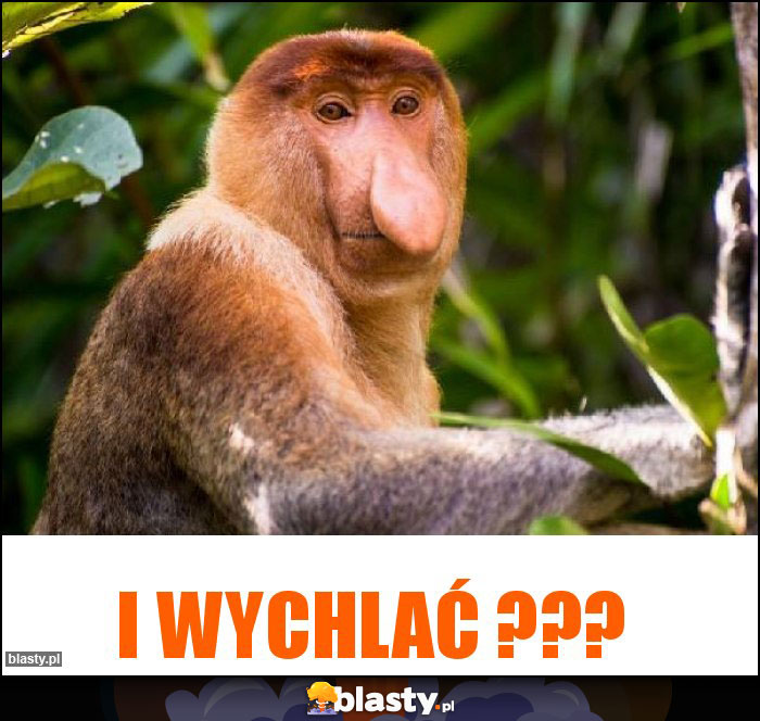 I WYCHLAĆ ??? I WYCHLAĆ ???