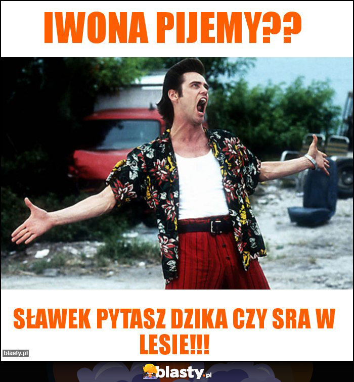 Iwona pijemy?? Iwona pijemy??