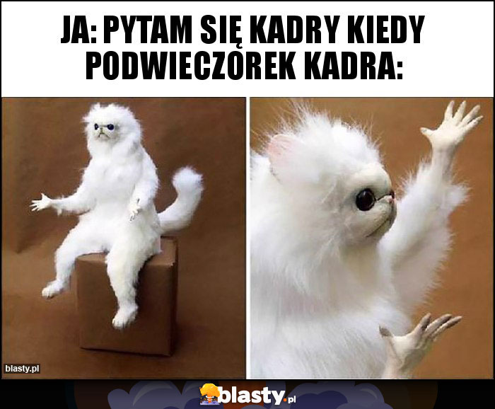 Ja: pytam się kadry kiedy podwieczorek kadra: Ja: pytam się kadry kiedy podwieczorek kadra: