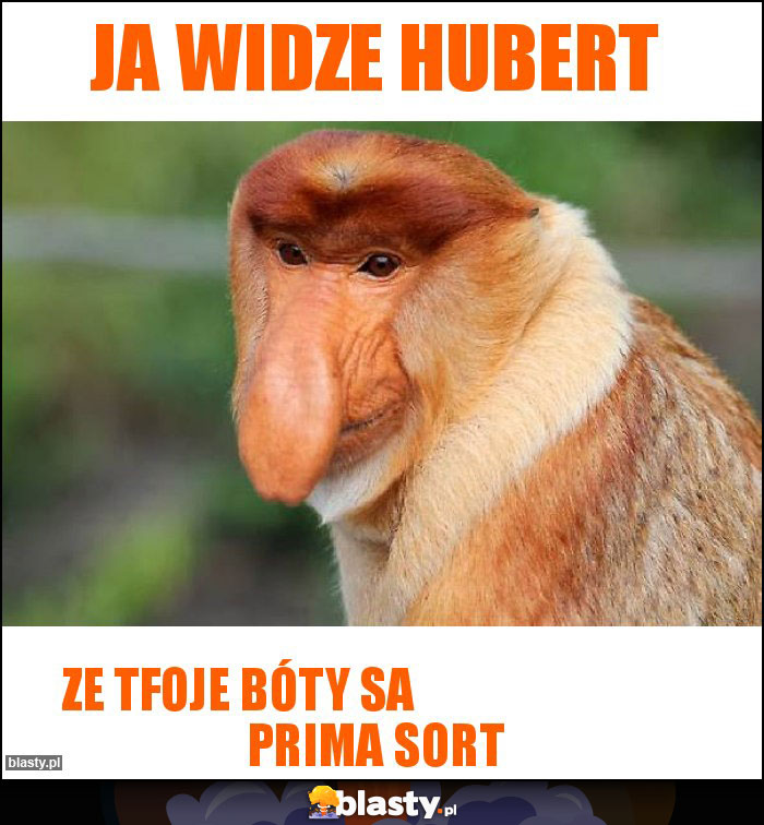 Ja widze Hubert Ja widze Hubert