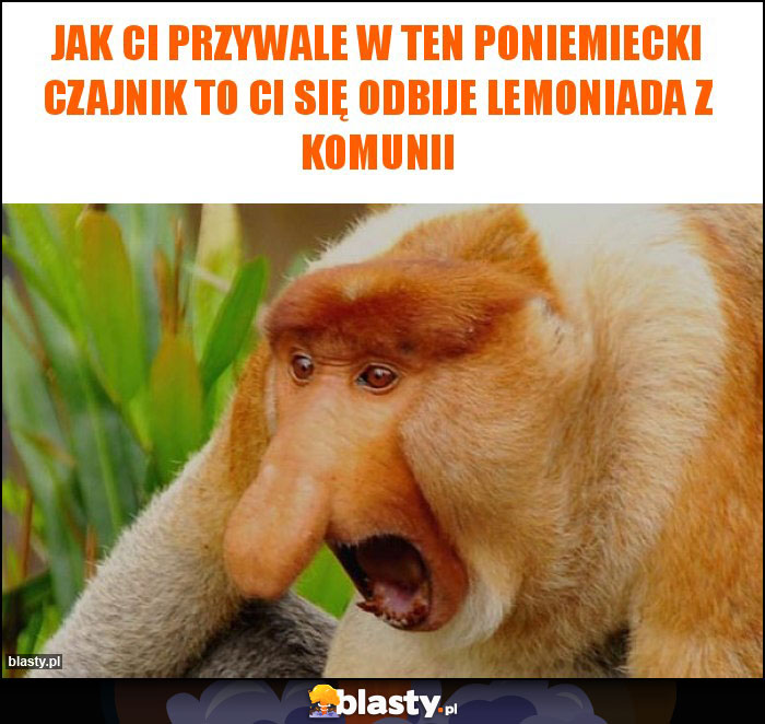 Jak Ci przywale w ten poniemiecki czajnik to ci się odbije lemoniada z komunii Jak Ci przywale w ten poniemiecki czajnik to ci się odbije lemoniada z komunii