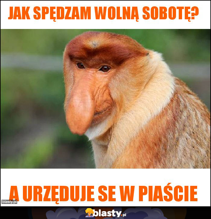 Jak spędzam wolną sobotę? Jak spędzam wolną sobotę?