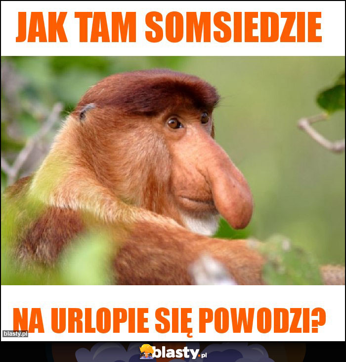 Jak tam somsiedzie Jak tam somsiedzie