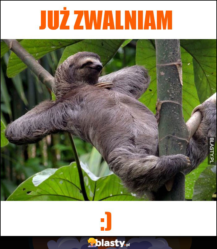 Już zwalniam Już zwalniam