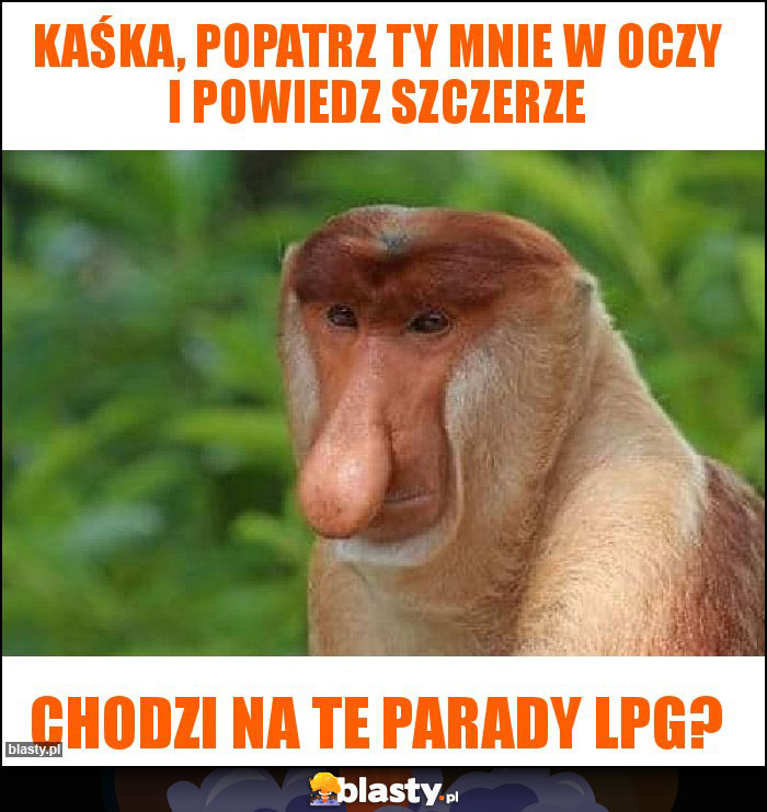 Kaśka, popatrz Ty mnie w oczy i powiedz szczerze Kaśka, popatrz Ty mnie w oczy i powiedz szczerze