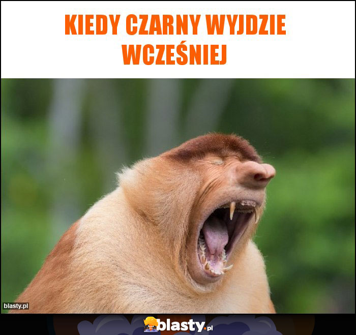 Kiedy czarny wyjdzie wcześniej Kiedy czarny wyjdzie wcześniej