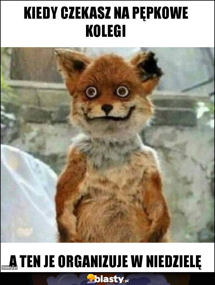 Kiedy czekasz na pępkowe kolegi Kiedy czekasz na pępkowe kolegi