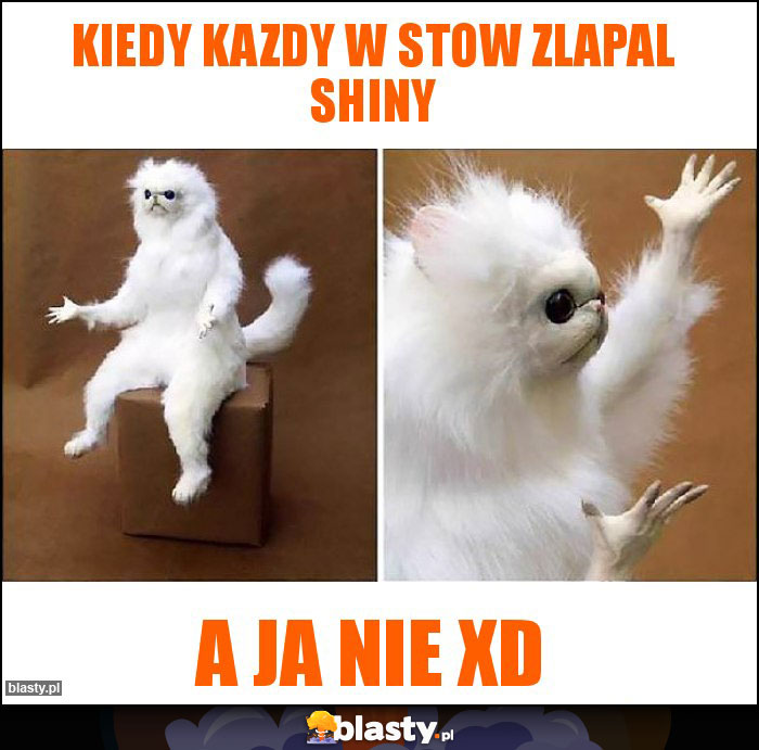 kiedy kazdy w stow zlapal shiny kiedy kazdy w stow zlapal shiny